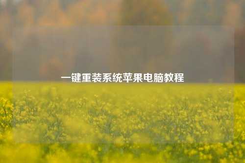 一键重装系统苹果电脑教程