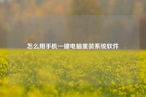 怎么用手机一键电脑重装系统软件