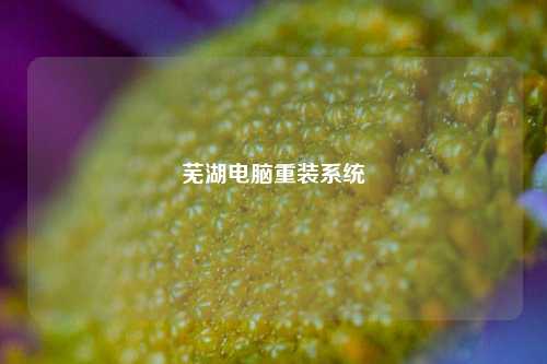 芜湖电脑重装系统