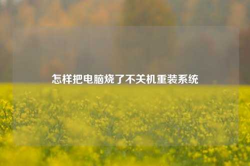 怎样把电脑烧了不关机重装系统