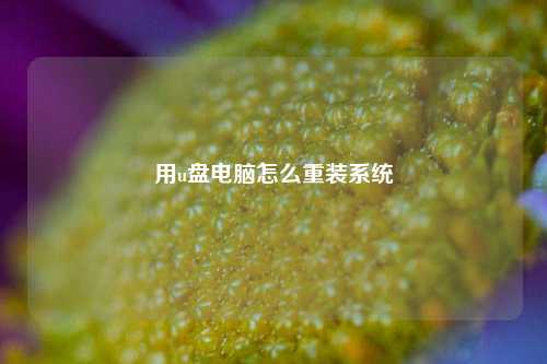 用u盘电脑怎么重装系统