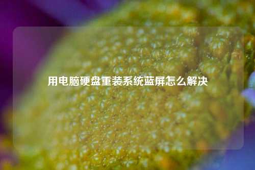 用电脑硬盘重装系统蓝屏怎么解决