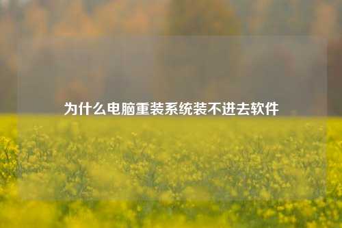 为什么电脑重装系统装不进去软件