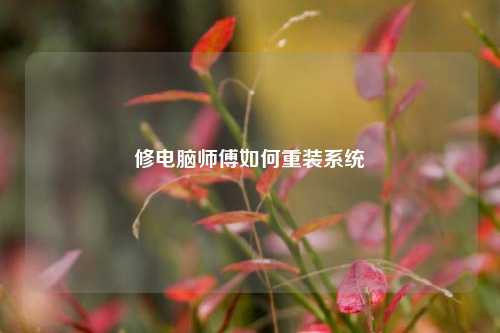 修电脑师傅如何重装系统