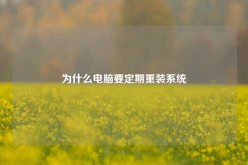 为什么电脑要定期重装系统