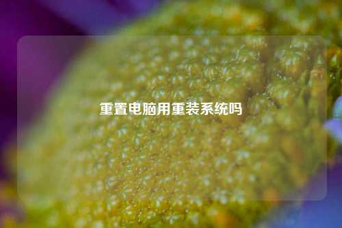 重置电脑用重装系统吗