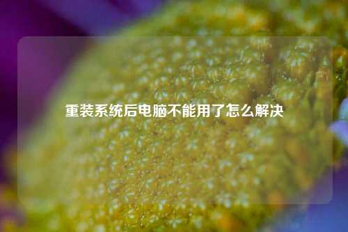 重装系统后电脑不能用了怎么解决