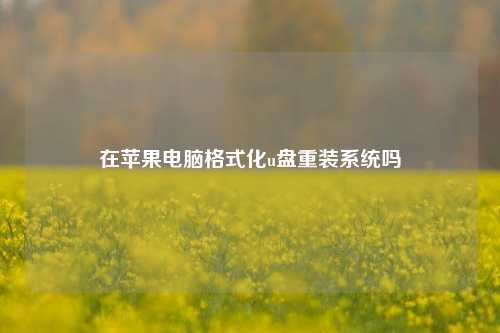 在苹果电脑格式化u盘重装系统吗