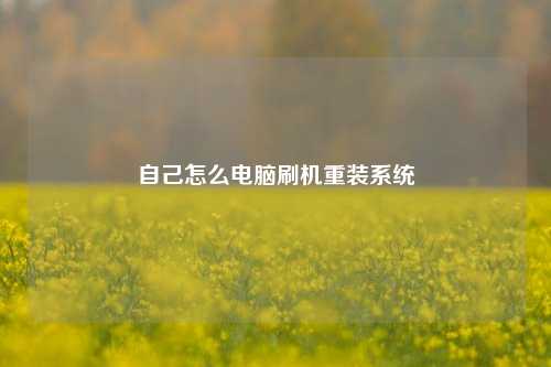 自己怎么电脑刷机重装系统