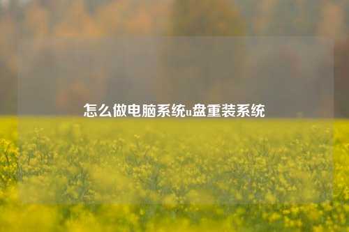 怎么做电脑系统u盘重装系统