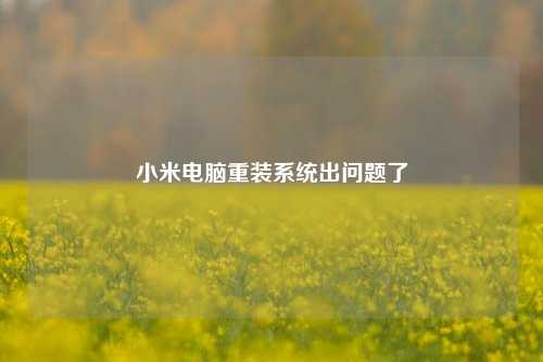 小米电脑重装系统出问题了