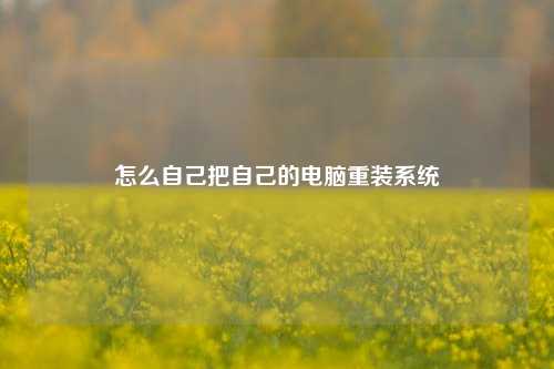 怎么自己把自己的电脑重装系统