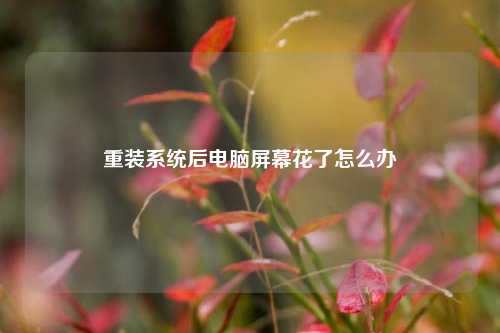 重装系统后电脑屏幕花了怎么办