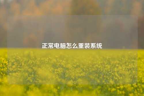 正常电脑怎么重装系统