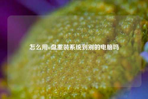 怎么用u盘重装系统到别的电脑吗