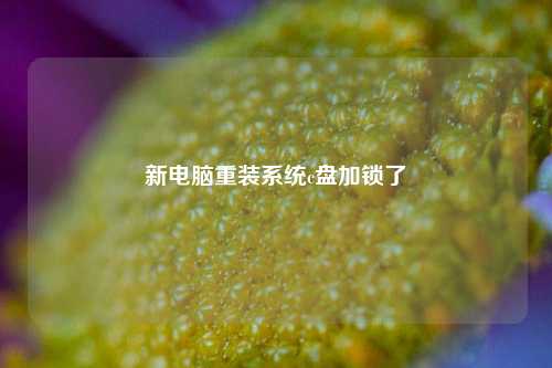 新电脑重装系统c盘加锁了