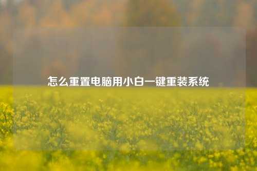 怎么重置电脑用小白一键重装系统