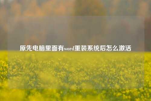 原先电脑里面有word重装系统后怎么激活