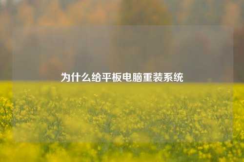 为什么给平板电脑重装系统