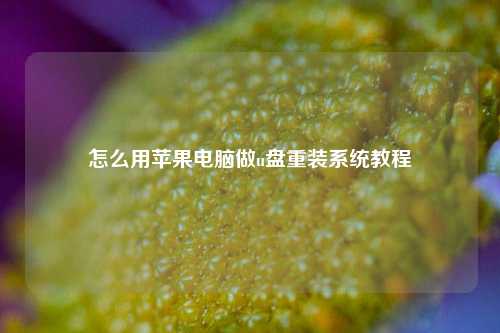 怎么用苹果电脑做u盘重装系统教程