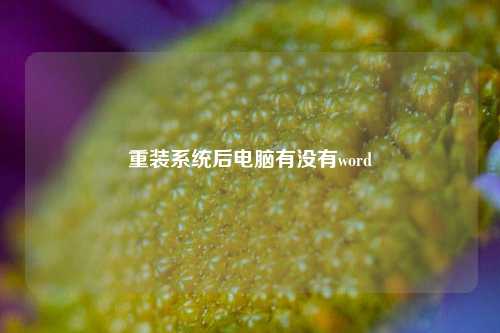 重装系统后电脑有没有word