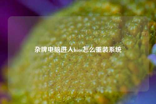 杂牌电脑进入bios怎么重装系统