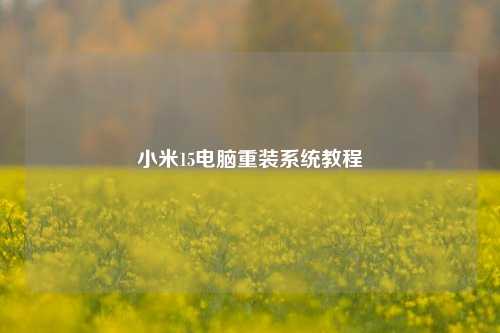 小米15电脑重装系统教程