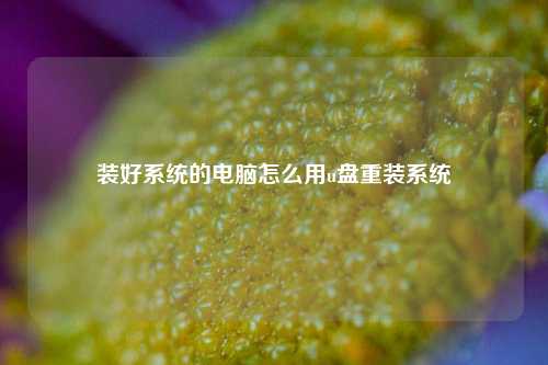 装好系统的电脑怎么用u盘重装系统