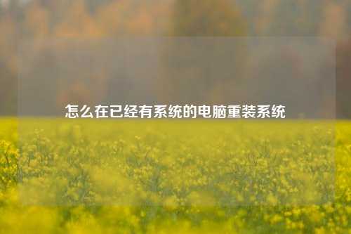 怎么在已经有系统的电脑重装系统