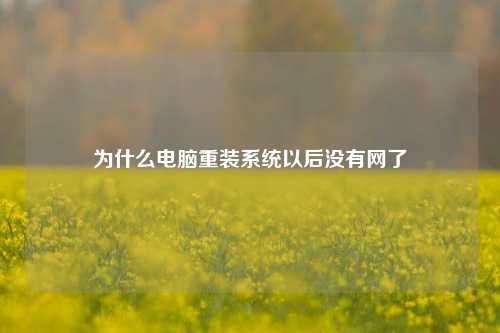 为什么电脑重装系统以后没有网了