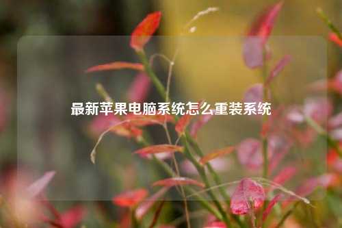 最新苹果电脑系统怎么重装系统