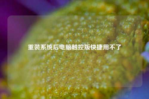 重装系统后电脑触控版快捷用不了