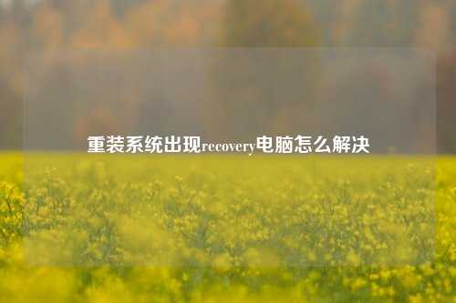 重装系统出现recovery电脑怎么解决