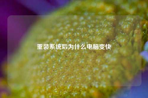 重装系统后为什么电脑变快