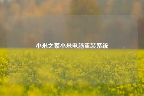 小米之家小米电脑重装系统