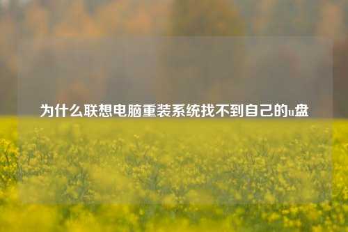 为什么联想电脑重装系统找不到自己的u盘