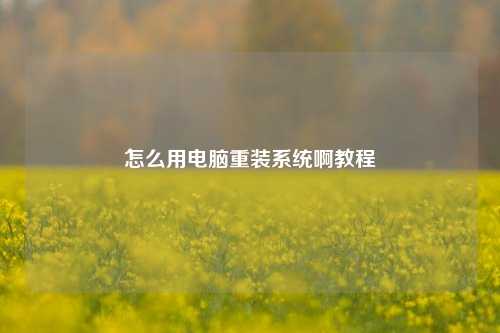 怎么用电脑重装系统啊教程