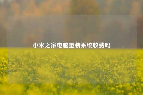 小米之家电脑重装系统收费吗