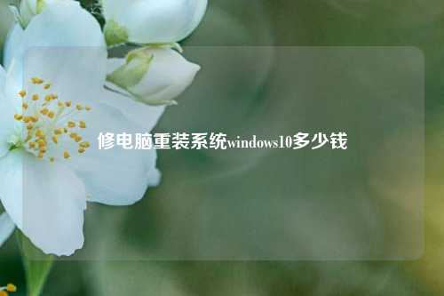 修电脑重装系统windows10多少钱