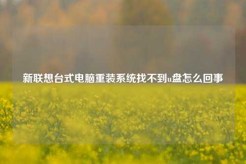 新联想台式电脑重装系统找不到u盘怎么回事