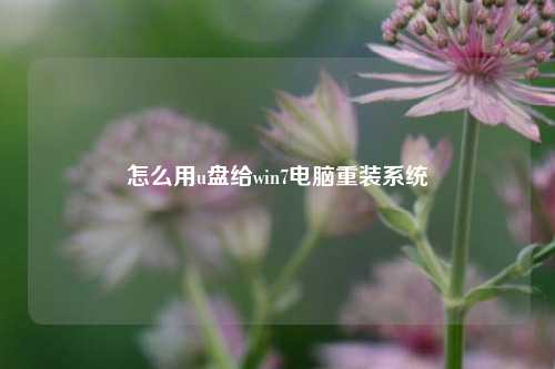 怎么用u盘给win7电脑重装系统