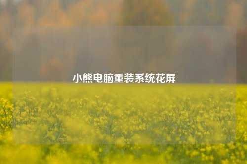 小熊电脑重装系统花屏