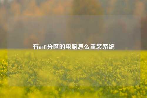 有uefi分区的电脑怎么重装系统