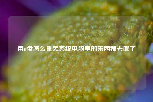 用u盘怎么重装系统电脑里的东西都去哪了