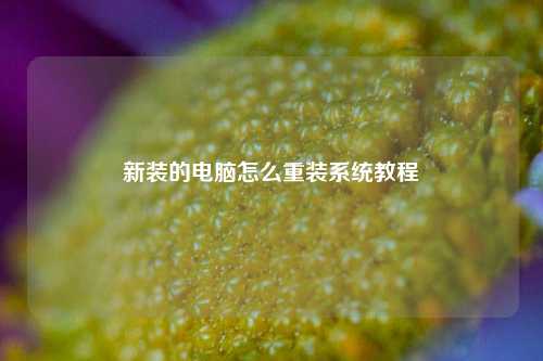 新装的电脑怎么重装系统教程