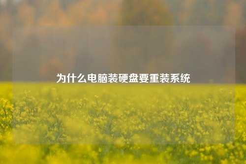 为什么电脑装硬盘要重装系统