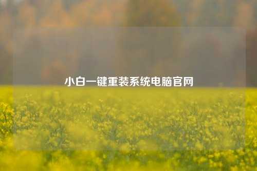 小白一键重装系统电脑官网