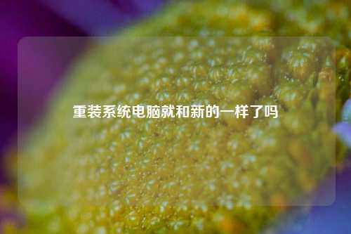 重装系统电脑就和新的一样了吗