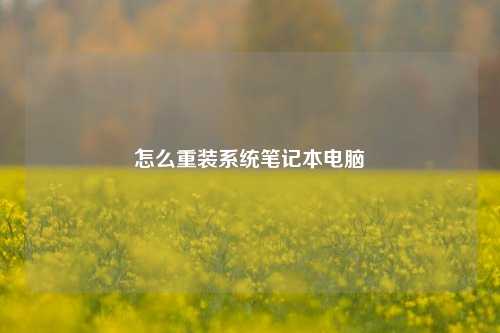 怎么重装系统笔记本电脑