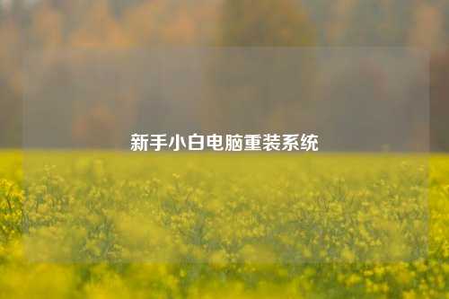 新手小白电脑重装系统